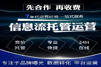 谷歌竞价广告的投放策略与成功案例分析